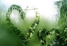 天涯社区：国际观察的热门平台